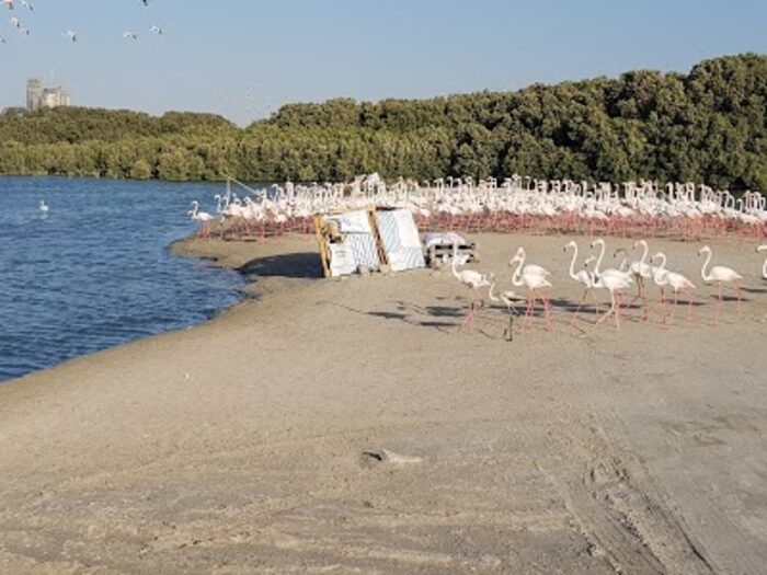 Ras Al Khor