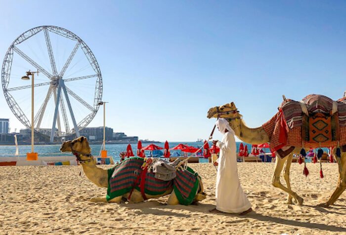 Ras Al Khor